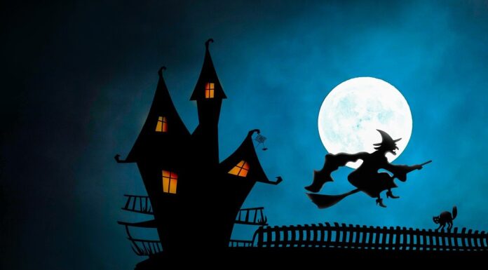 5 Ways to Make Halloween Better in 2024 5 Ways to Make Halloween Better